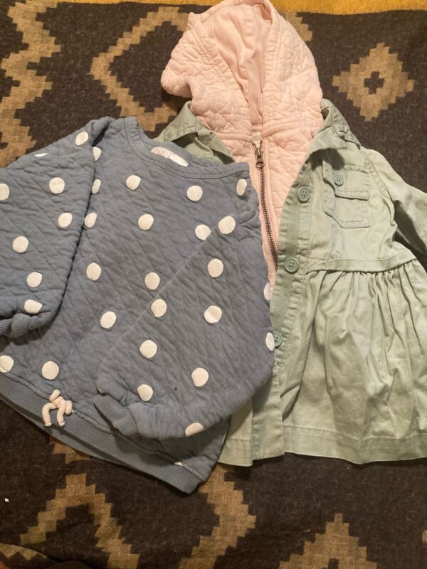 Lot Sz 3T ~ Gymboree Zara Sweatshirt Hoodie Jacket  ~ Fall Ready in Pastels!