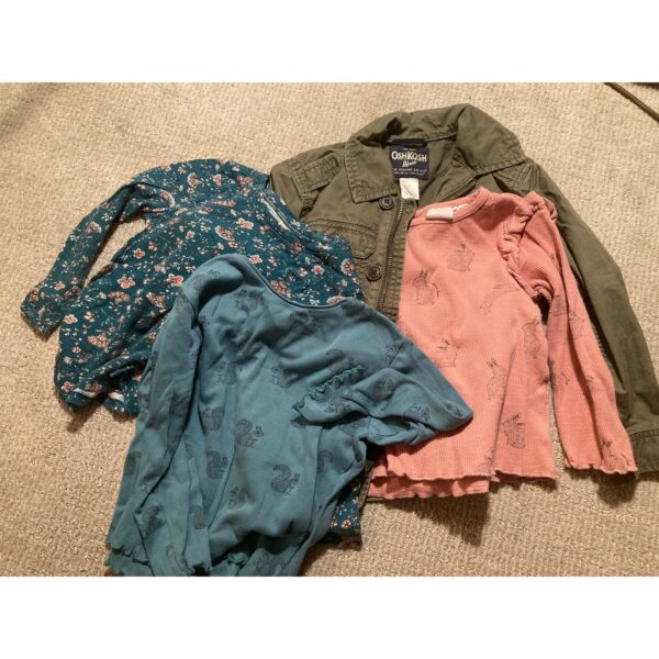 Fall Lot ~ 3 Long Sleeve Printed T-shirts Jacket Size 4 ~ Zara OshKosh Old Navy Sweet!